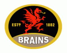 Brains logo
